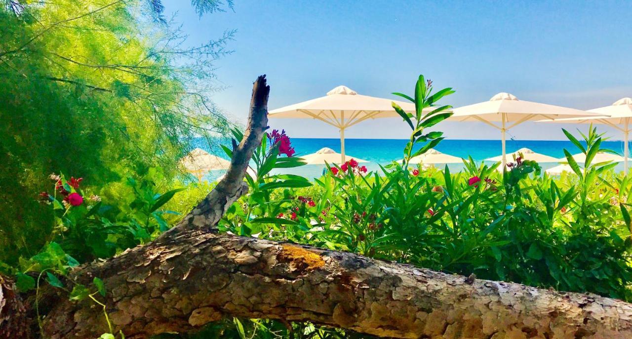 Kassandra Mare Hotel ネア・ポティダイア エクステリア 写真