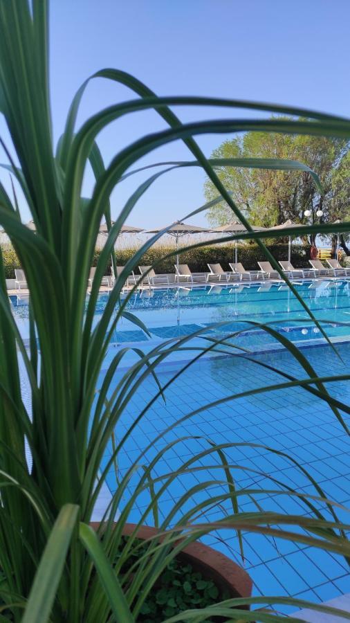 Kassandra Mare Hotel ネア・ポティダイア エクステリア 写真