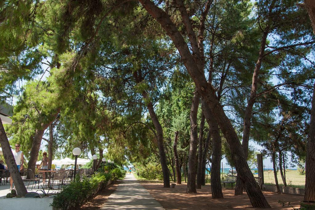 Kassandra Mare Hotel ネア・ポティダイア エクステリア 写真